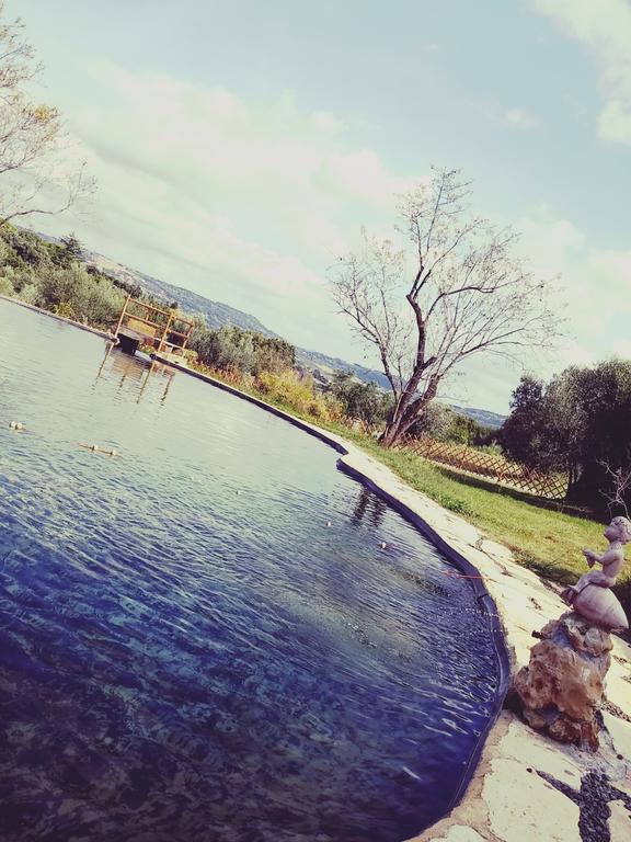 Agriturismo Il Poderino Bibbona Exteriér fotografie