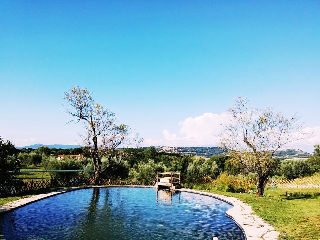 Agriturismo Il Poderino Bibbona Exteriér fotografie