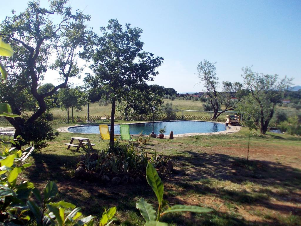 Agriturismo Il Poderino Bibbona Exteriér fotografie