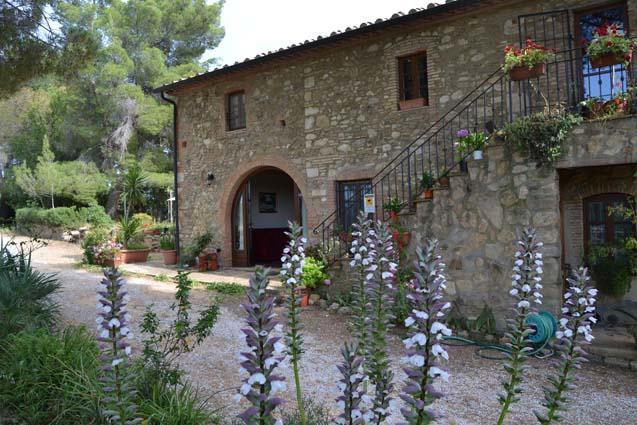 Agriturismo Il Poderino Bibbona Exteriér fotografie