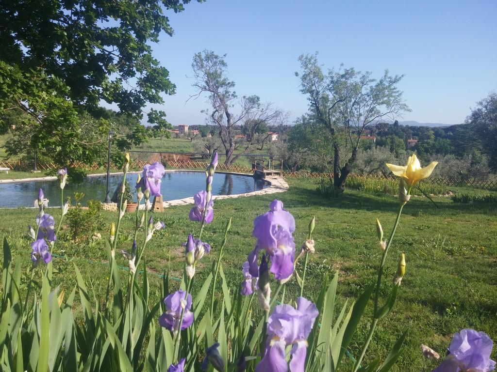 Agriturismo Il Poderino Bibbona Exteriér fotografie