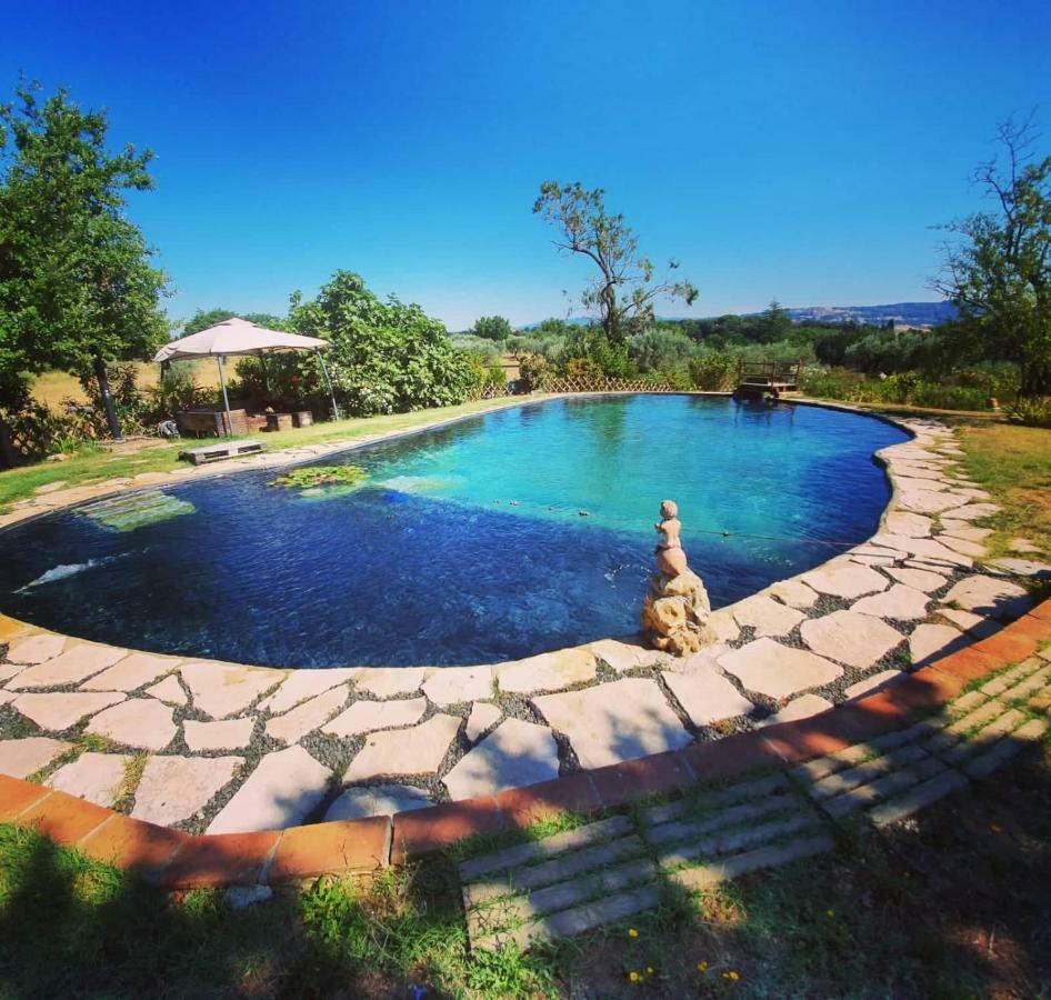 Agriturismo Il Poderino Bibbona Exteriér fotografie
